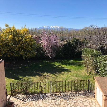Au Mimosa -Gite Le Canigou Passa Ngoại thất bức ảnh