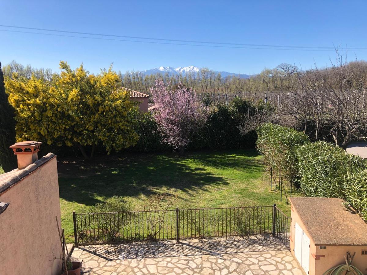Au Mimosa -Gite Le Canigou Passa Ngoại thất bức ảnh