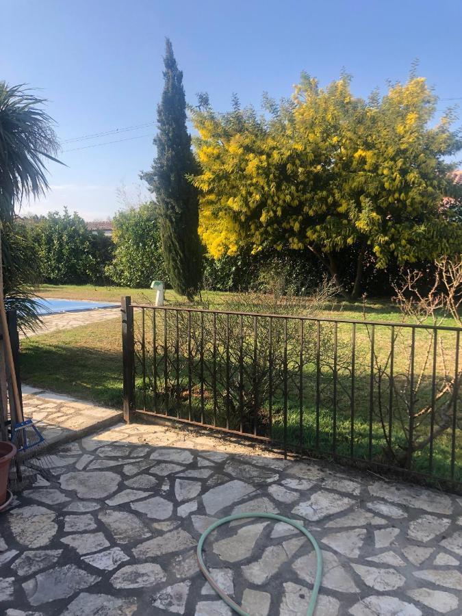 Au Mimosa -Gite Le Canigou Passa Ngoại thất bức ảnh